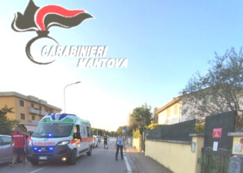 Pitbull sfugge al padrone: sbrana un altro cane e il suo proprietario perde una falange