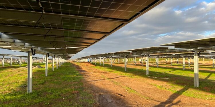 Enel e Conio lanciano ebitts: energia rinnovabile a casa senza pannelli o impianti