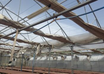 Tromba d’aria sul Mantovano: danni ad agricoltura, immobili pubblici e privati