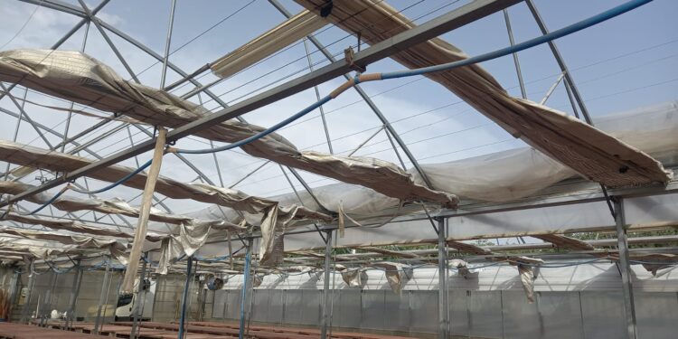 Tromba d’aria sul Mantovano: danni ad agricoltura, immobili pubblici e privati