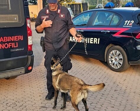 Operazione antidroga dei carabinieri: un arresto e sette denunce