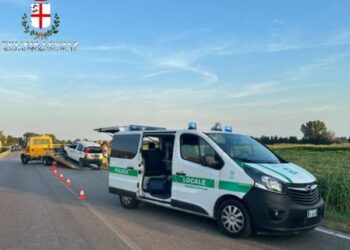 Provoca un incidente, fugge e poi finge che la sua auto sia stata rubata